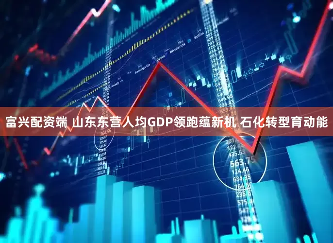 富兴配资端 山东东营人均GDP领跑蕴新机 石化转型育动能